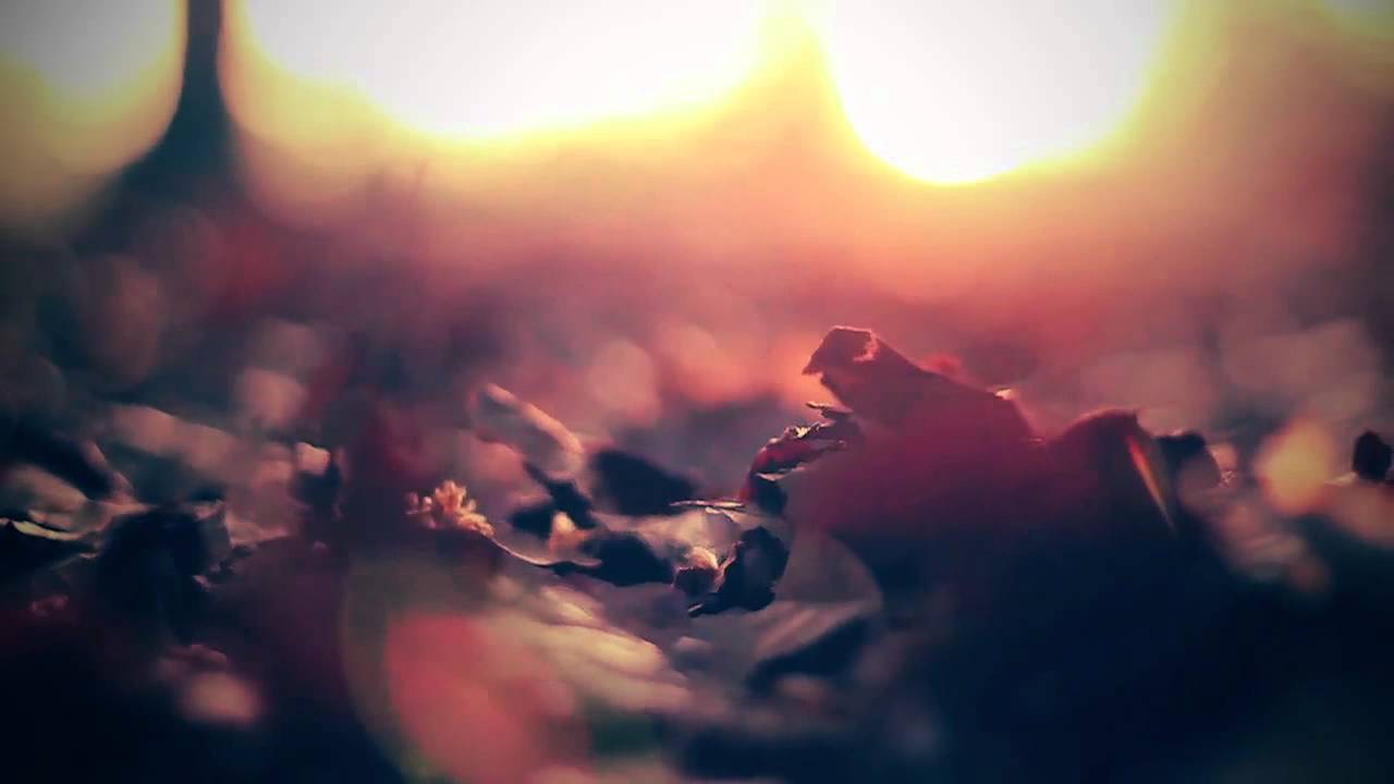 Consor 'A Long Peaceful Journey' [Official Music Video]