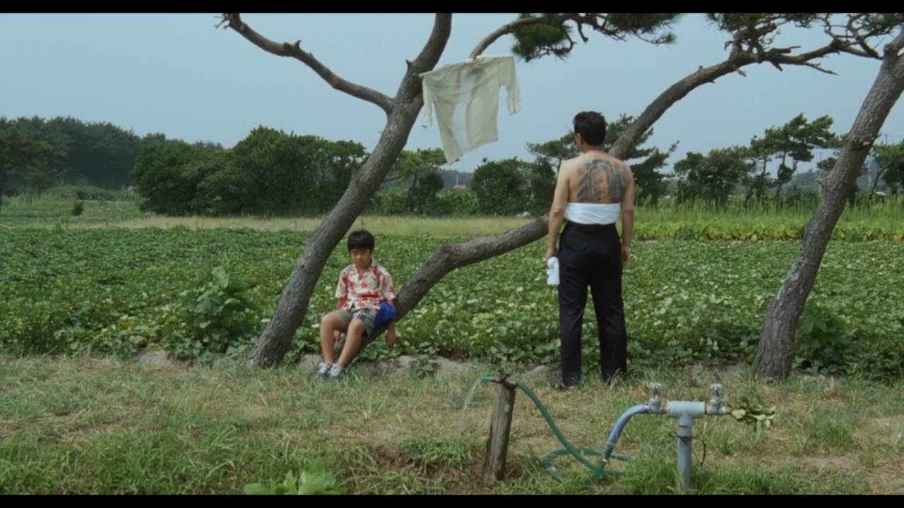 「Tigre de papel」Sonámbulo