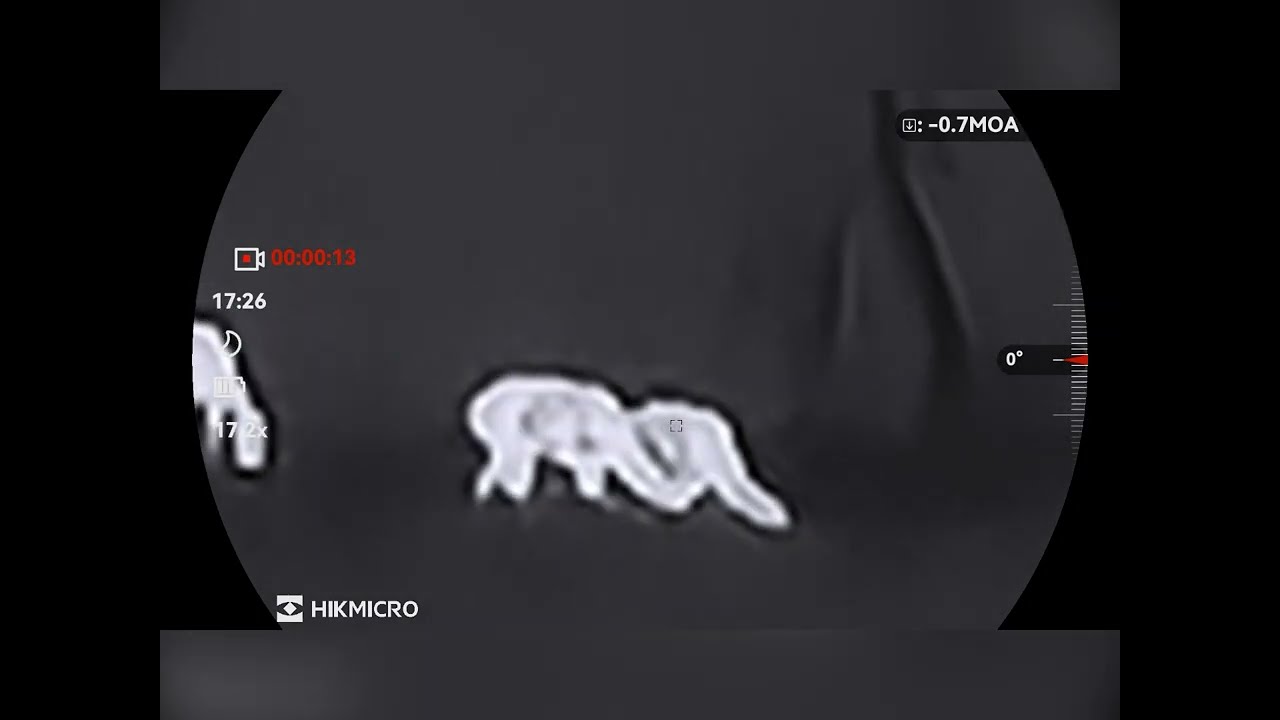 Hikmicro Habrok 4K HE25L 2.0 - www.praedator.sk