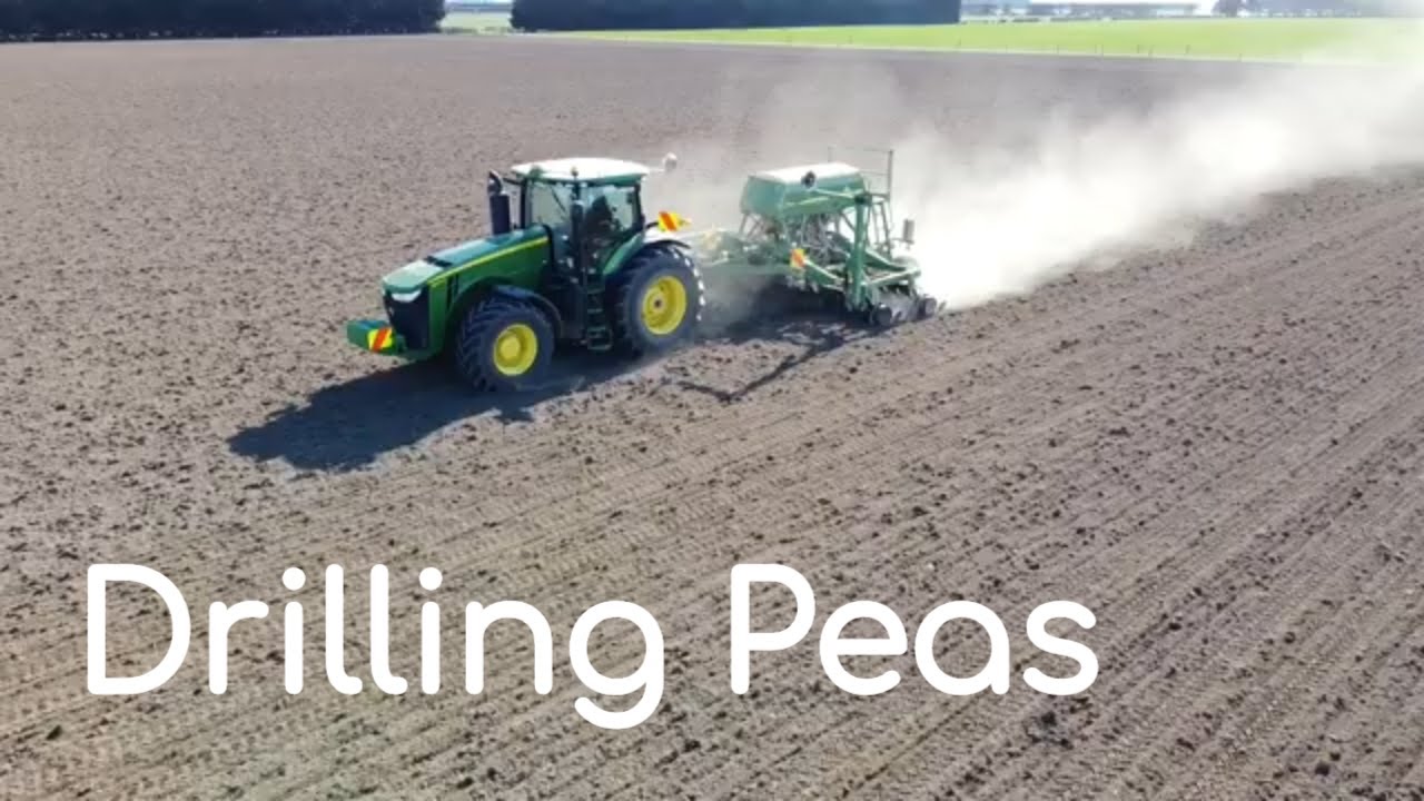 Drilling Peas | John Deere 8245R towing John Deere 750A seeder