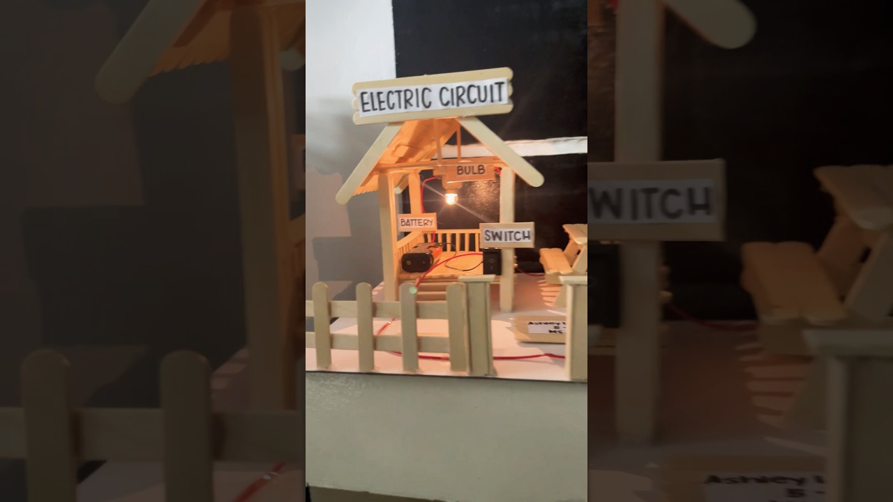 DIY Electric Circuit House project