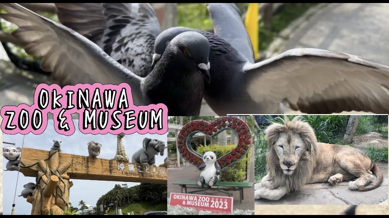 OKINAWA ZOO & MUSEUM 