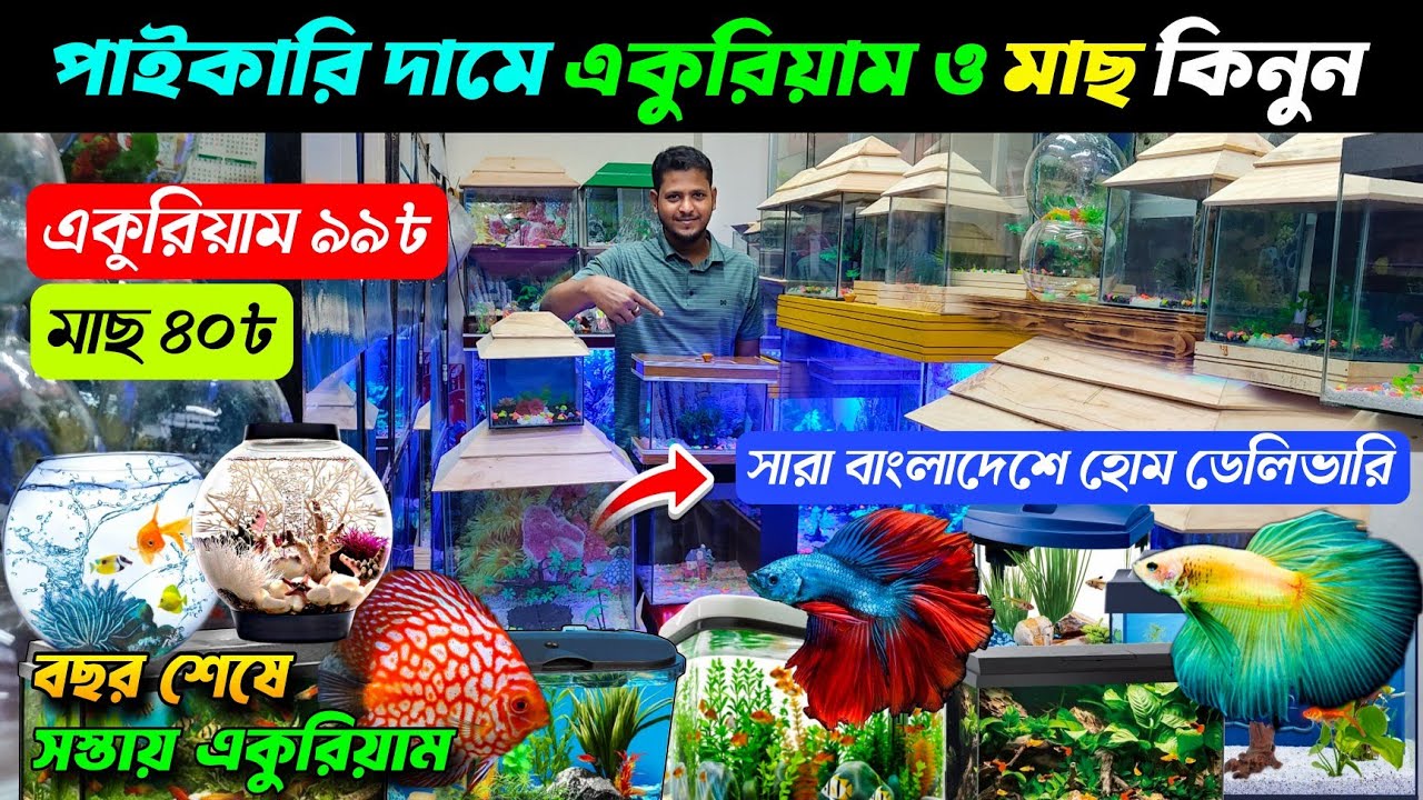 ২০/- টাকায়🔥মাছ ও অ্যাকুরিয়াম কিনুন | Aquarium price in Bangladesh 2025 | katabon fish price 2025