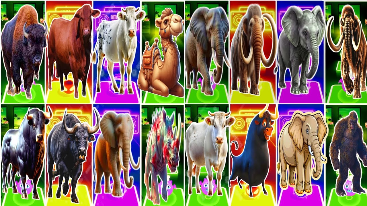 Funny Bison 🆚 Funny Bull 🆚 Funny Cow 🆚 Funny buffalo Coffin Dance Song 🎶🎶