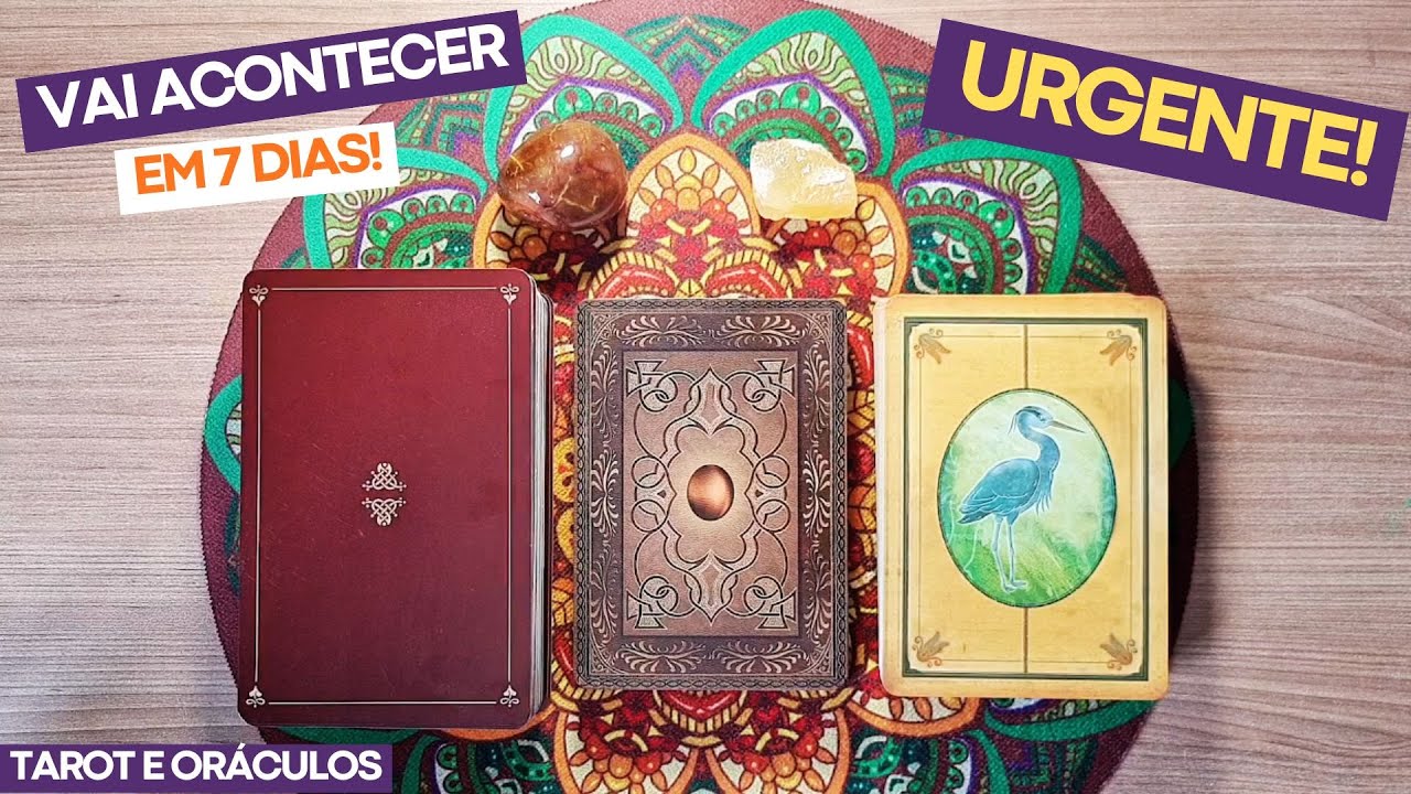 TAROT: Vai acontecer nos Próximos 7 Dias! | Previsões e Orientações | Tarot Responde