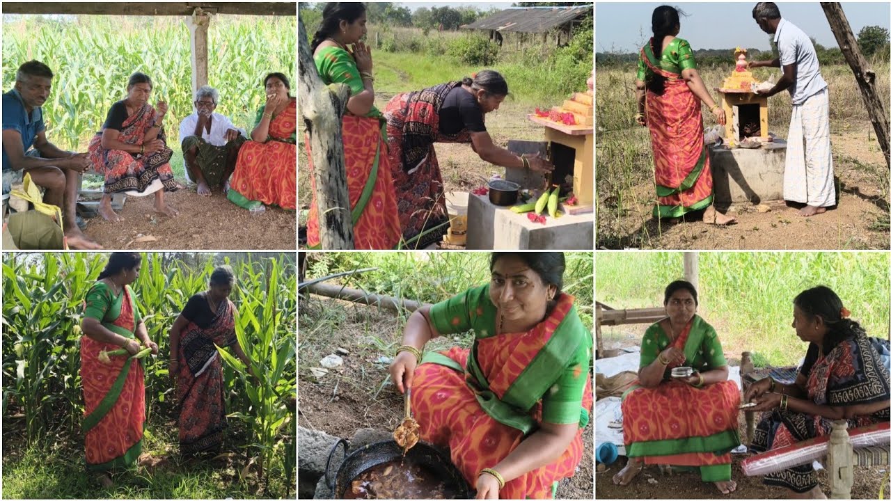 తొలి పంట అమ్మ నాన్నతో తీపించాను🌽 నాటుకోడి పులుసు లియో గాడు 🐕