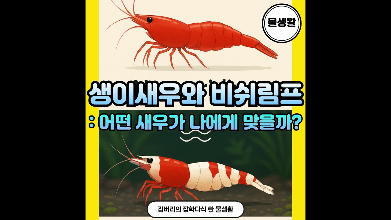 생이새우 vs 비쉬림프! 초보자가 꼭 알아야 할 관상용 새우 선택법