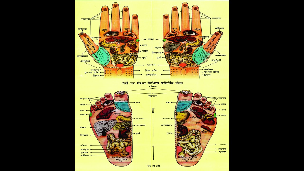 Hand Feet Reflexology Charts Kansa Thali Ayurvedic Massage Therapy Machine Faridabad 