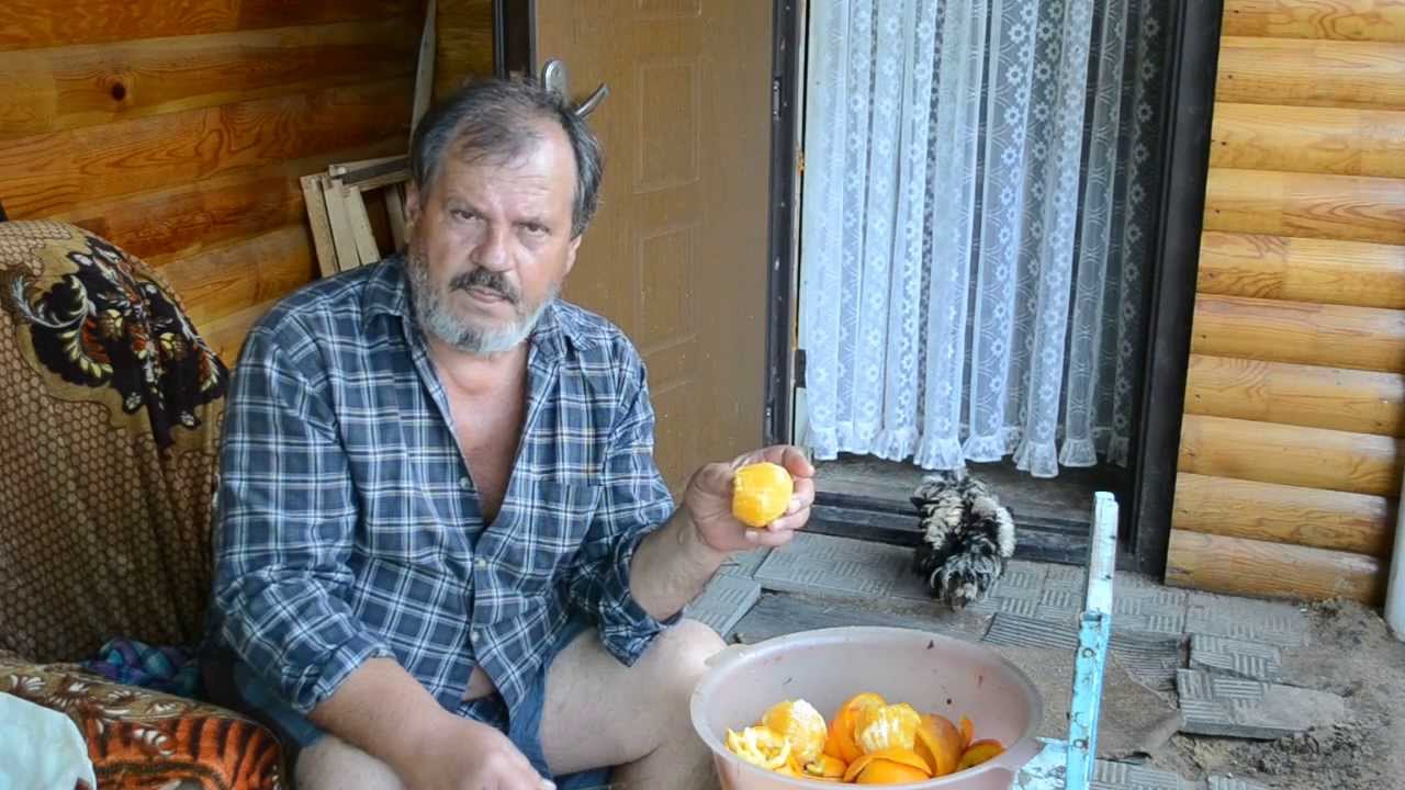 Фруктовая брага  Часть 10  Апельсины