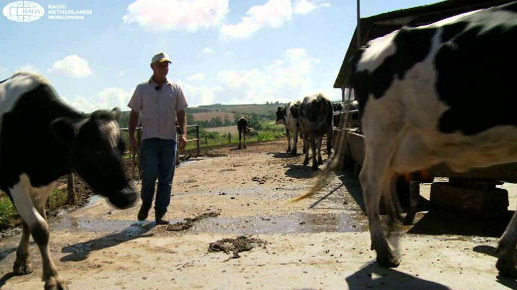 Nazaten Nederlandse pioniers boeren goed in Brazilie