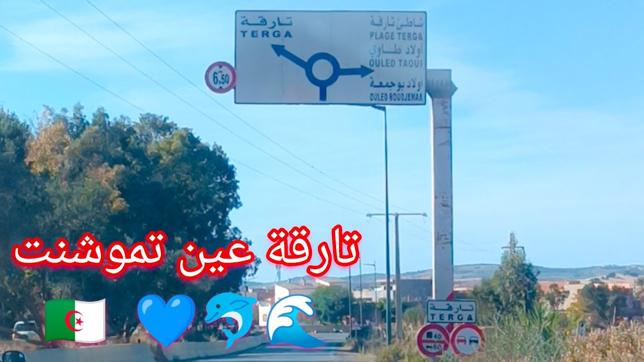 تارقة عين تموشنت Targa Ain Temouchent 2022 💙🐬🌊