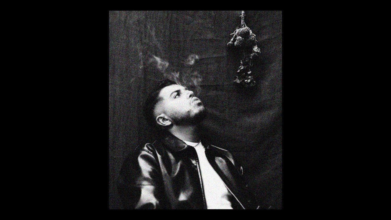 (FREE) Hamza Type Beat - "Drip"
