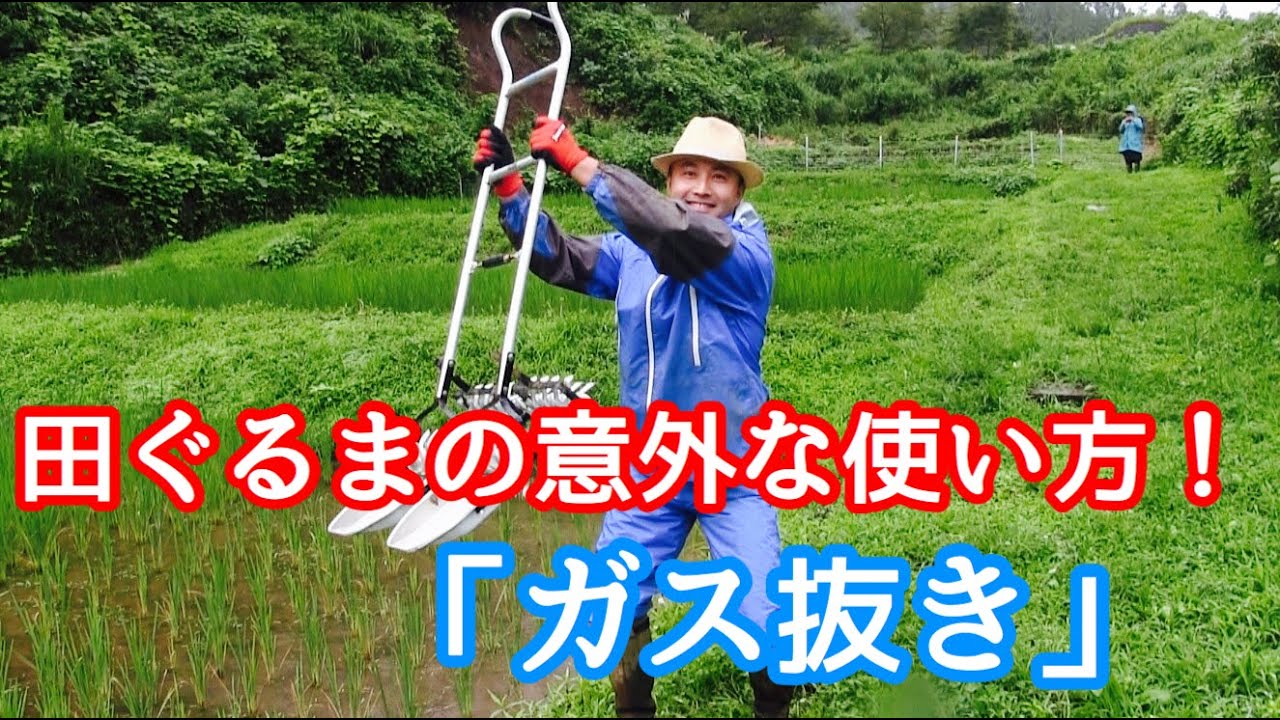 【無農薬稲作】田ぐるまのもうひとつの使い方「ガス抜き」のワザ！