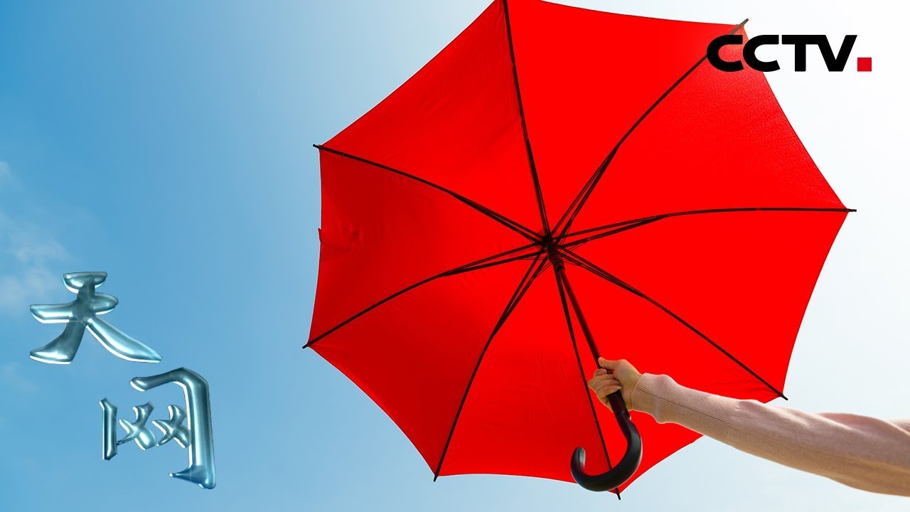 《天网》 关键证据：杀人犯全程打伞企图掩盖行踪 却正是这把雨伞出卖了他 | CCTV社会与法
