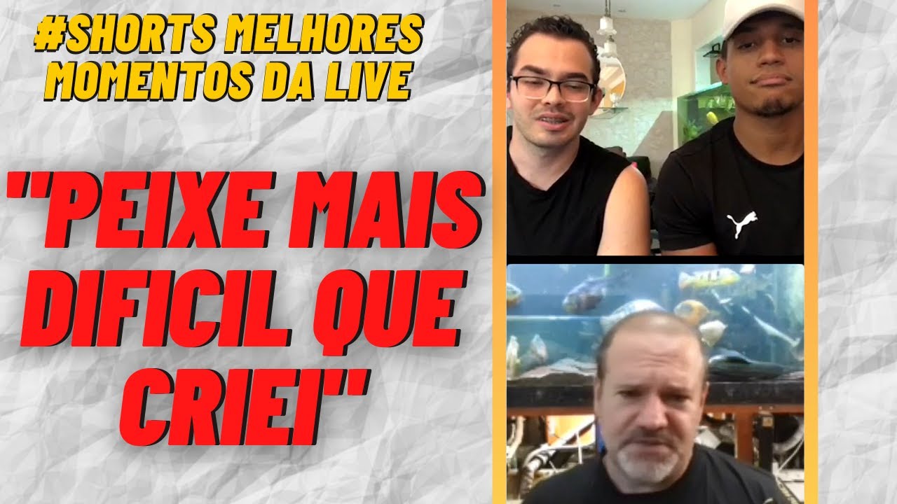 A esp&eacute;cie mais dif&iacute;cil que Renato Moterani criou!