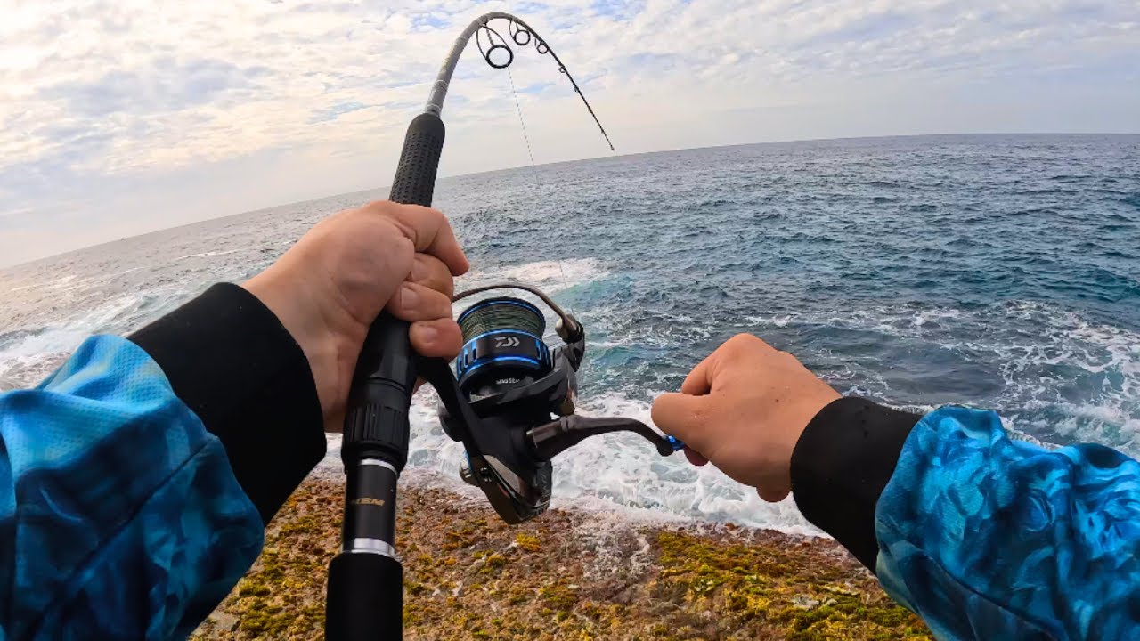 Rock Fishing Central Coast for Pelagics! (Massive Climb!!)