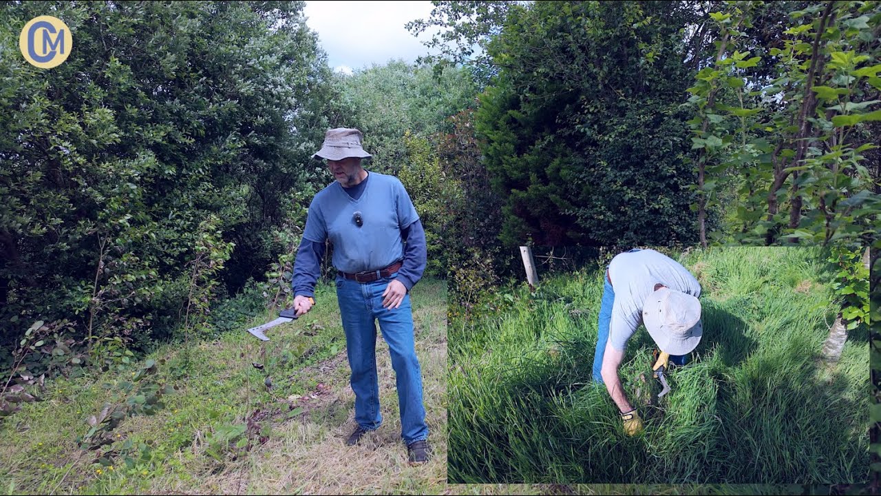 Regnans vegetation control 🌱