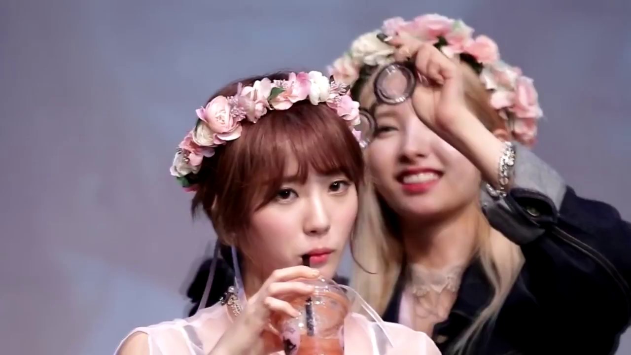 [OPV] PRINCE (Bona x Luda)