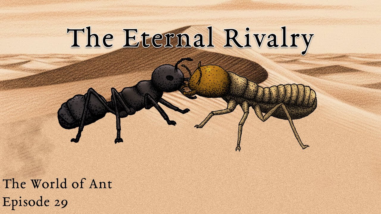 World War I in the World of Ants