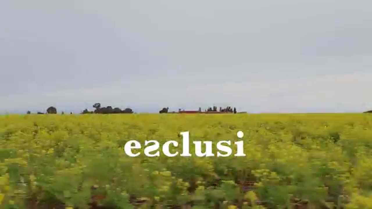 INCLUSI - Trailer