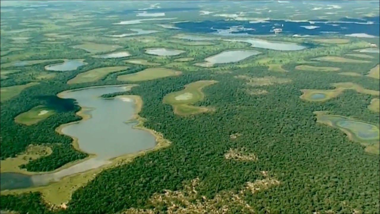 Almir Sater - Luzeiro / Pantanal Mato-Grossense