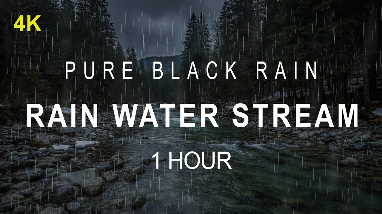 ⛈️ Rain Water Stream | Let the Storm Carry You | 1 Hour
