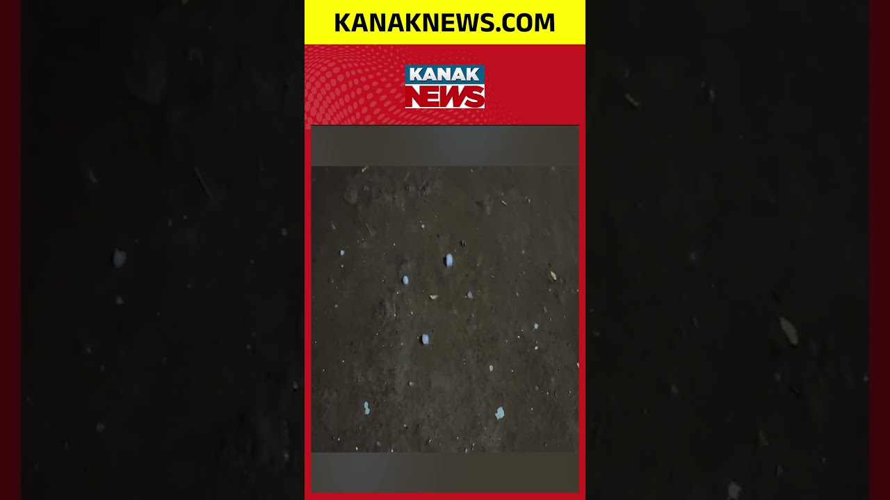 Koraput Weather Alert: Heavy Hailstorm and Unseasonal Rain Disrupt Normal Life!