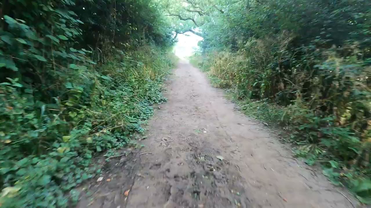 Gravel Biking Around the Block and Fields in Chelmsford, Writtle and Hylands Park