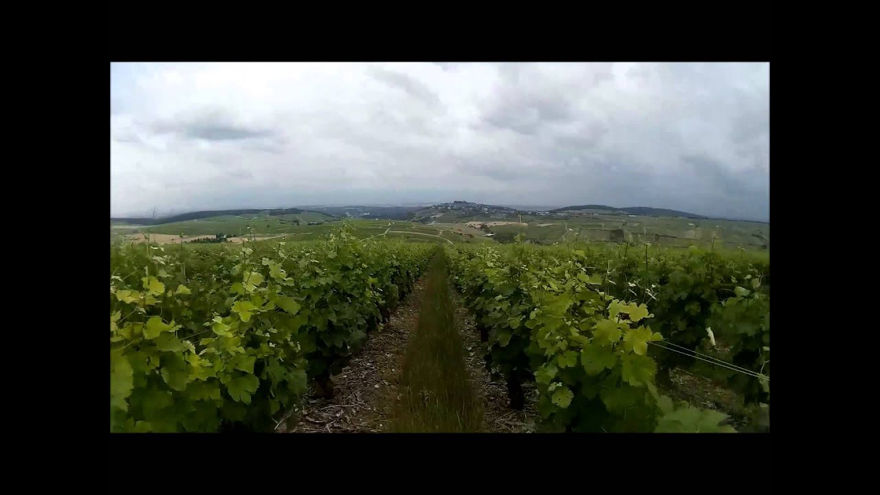 VTT Sancerrois