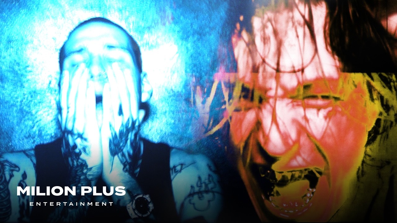 Nik Tendo & NobodyListen - PERFECT TRIP