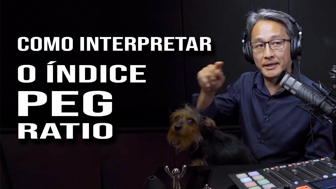 Como Interpretar o Índice PEG Ratio