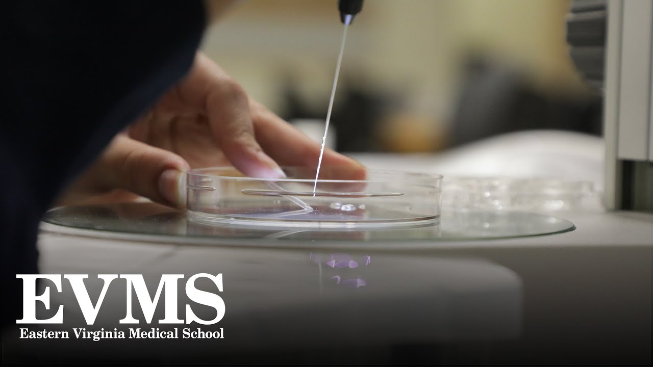 EVMS Reproductive Clinical Science, PhD and MS Program Overview