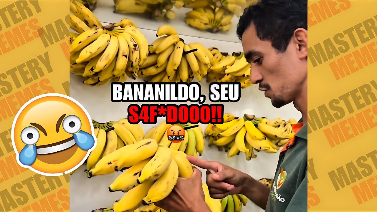 OS MELHORES MEMES DA INTERNET | TENTE N&Atilde;O RIR