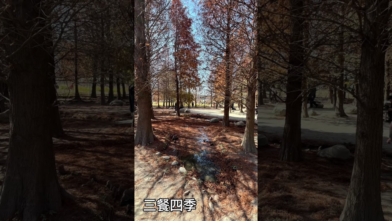 🎈長笛-三餐四季