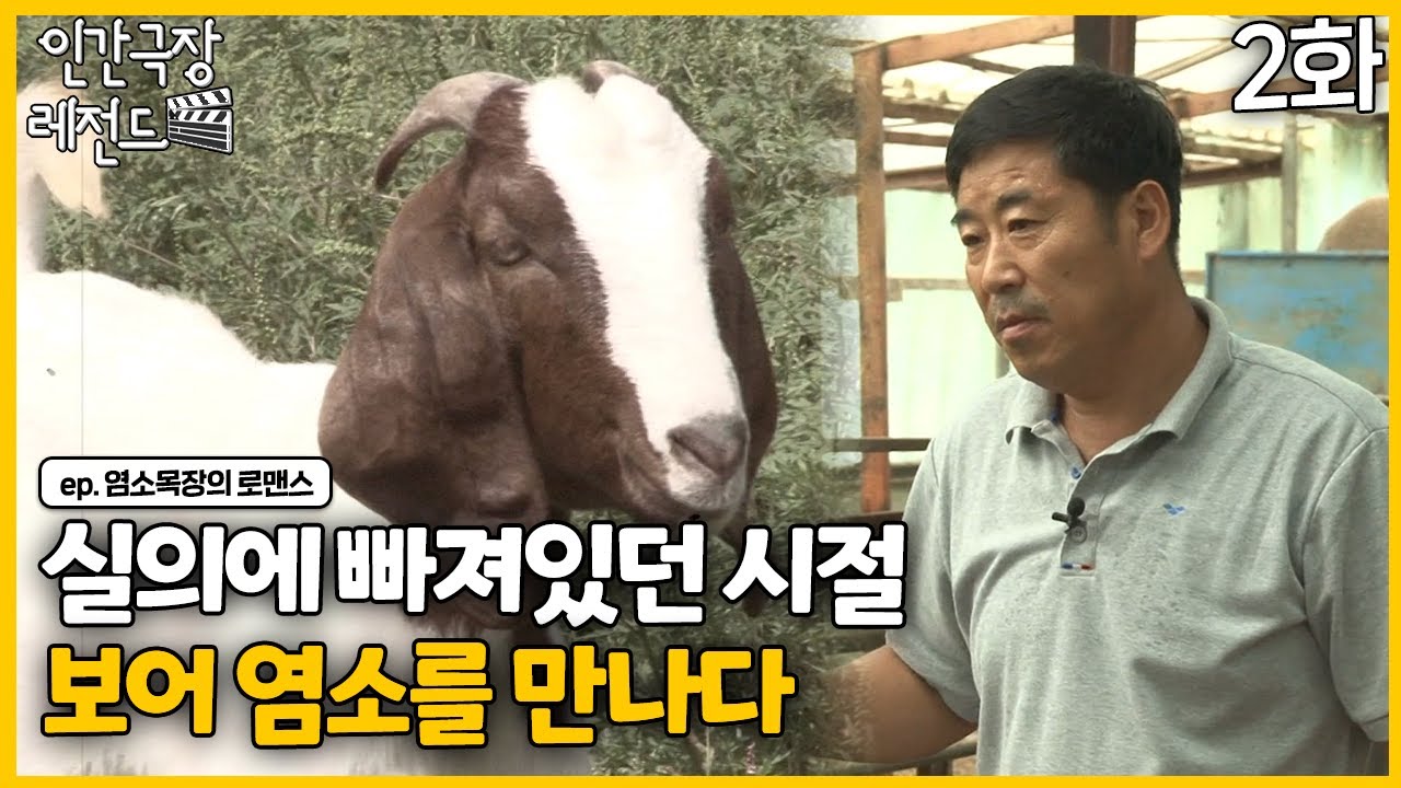 [인간극장 레전드 #353-2] 실의에 빠져있던 시절 보어염소를 만나다 ㅣ염소목장의 로맨스(2/5)  [KBS 130916-130920 방송]