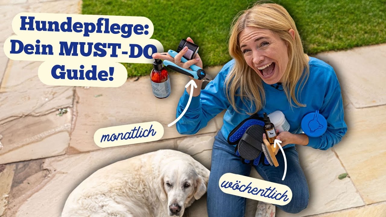 Hundepflege Guide 🧼 - Das mache ich täglich, wöchentlich & monatlich!