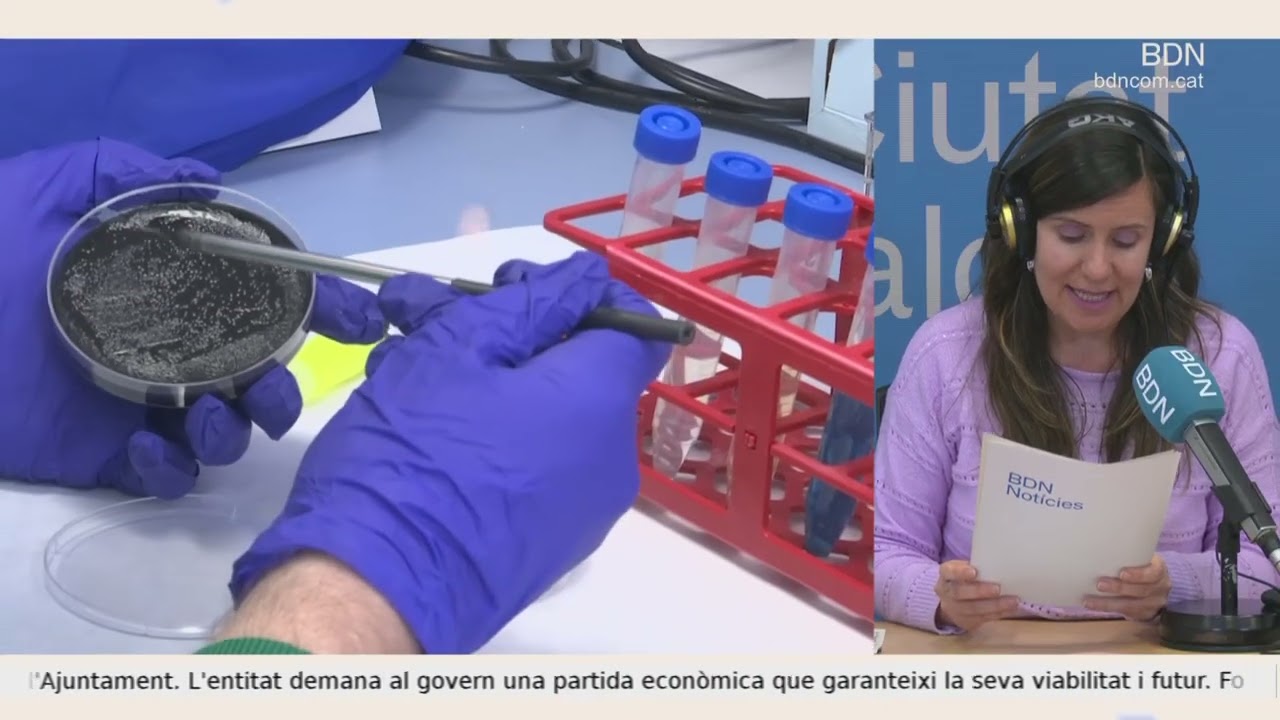 BDN Notícies Migdia 19 de febrer de 2026