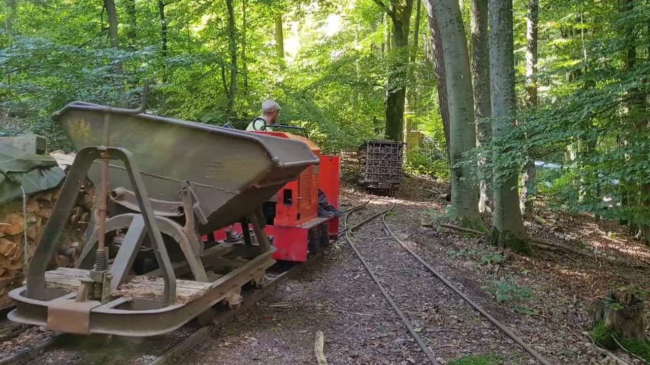 Die Waldstrecke