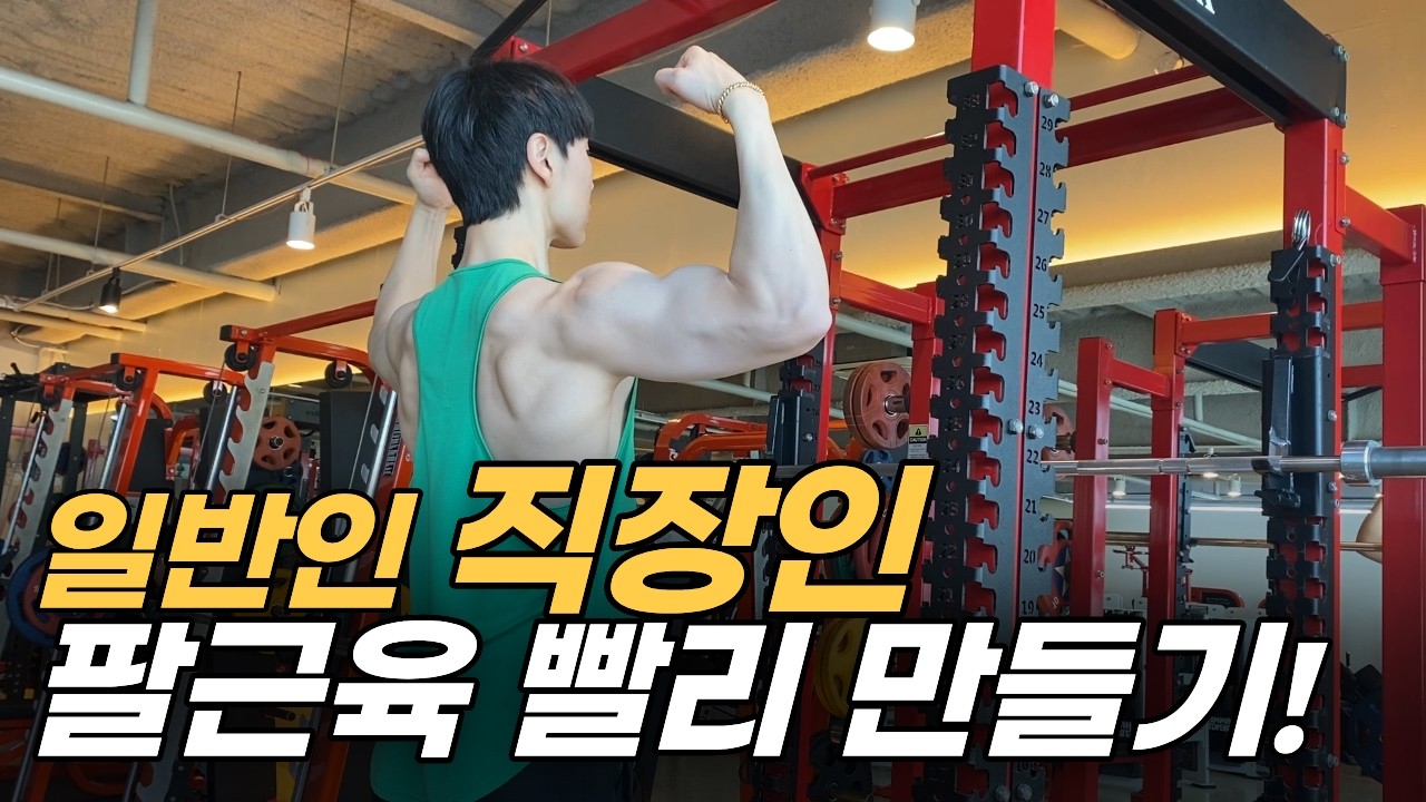 남자 여자 팔근육 빨리 만들기 가장 빨리 키우는법 운동 루틴 대공개