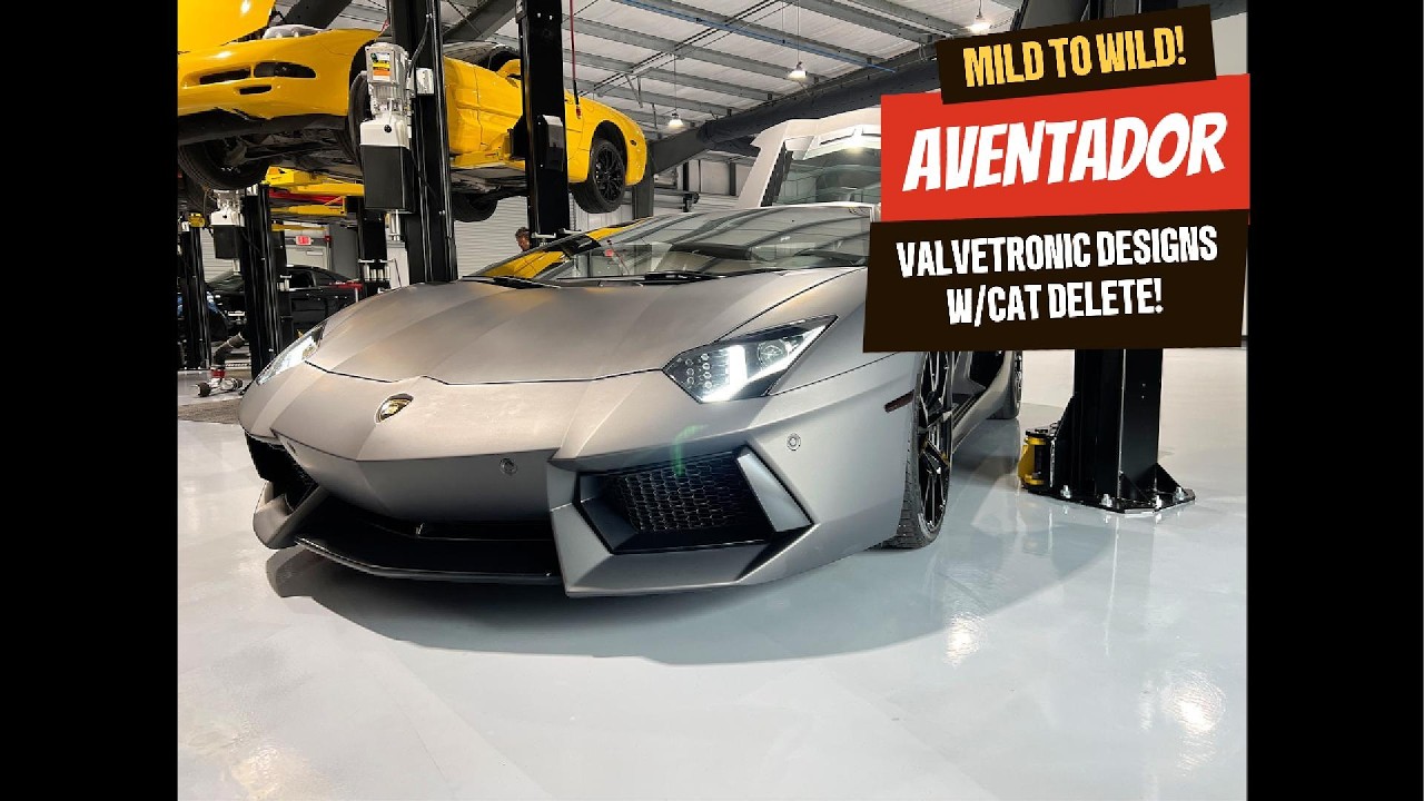Lamborghini Aventador Valvetronic Exhaust + Cat Delete | Insane V12 Sound