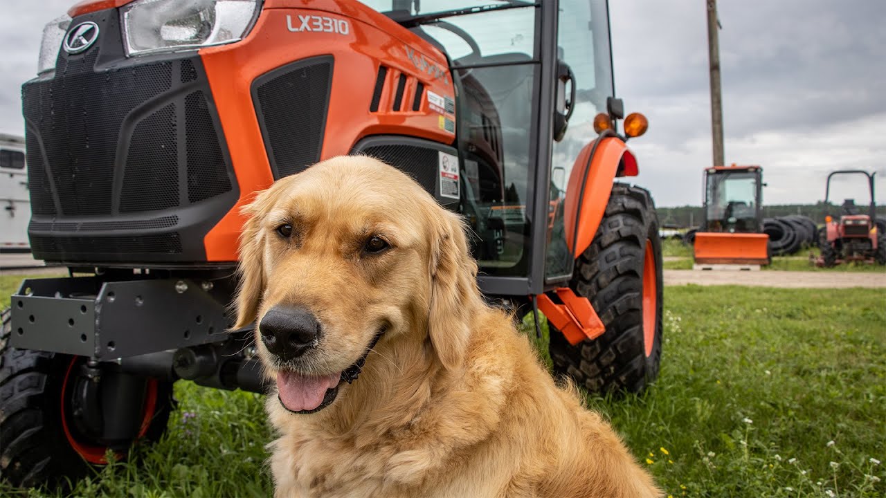 We Strapped a GoPro on our Greeter, Henry!