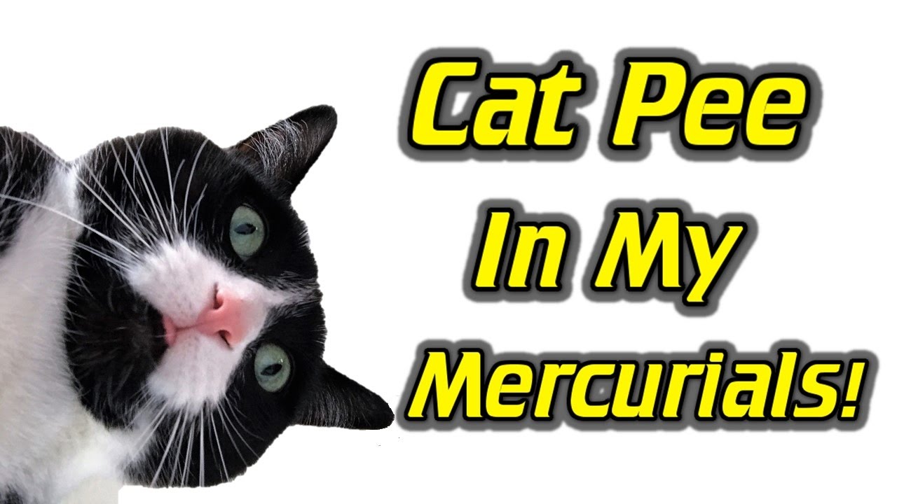 My Nike Mercurials Smell Like Cat Pee!