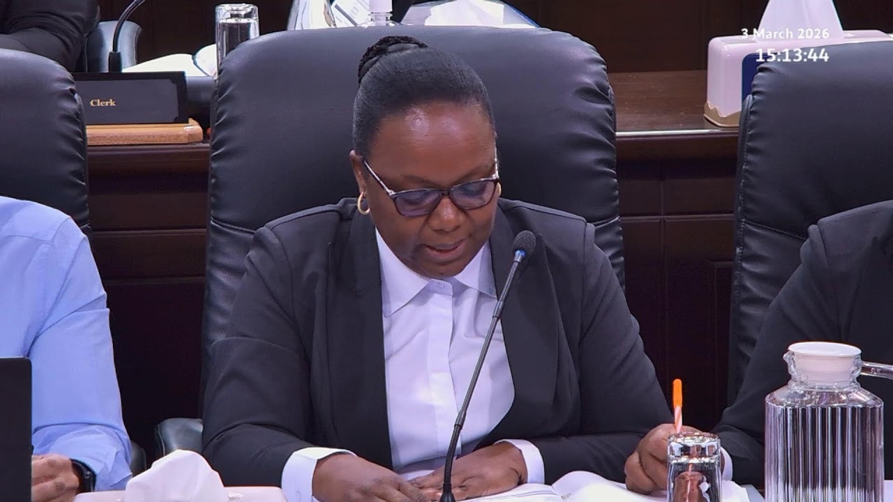 Budget 2026 Committee Stage - Sitting Tuesday 3 March 2026 Part 4