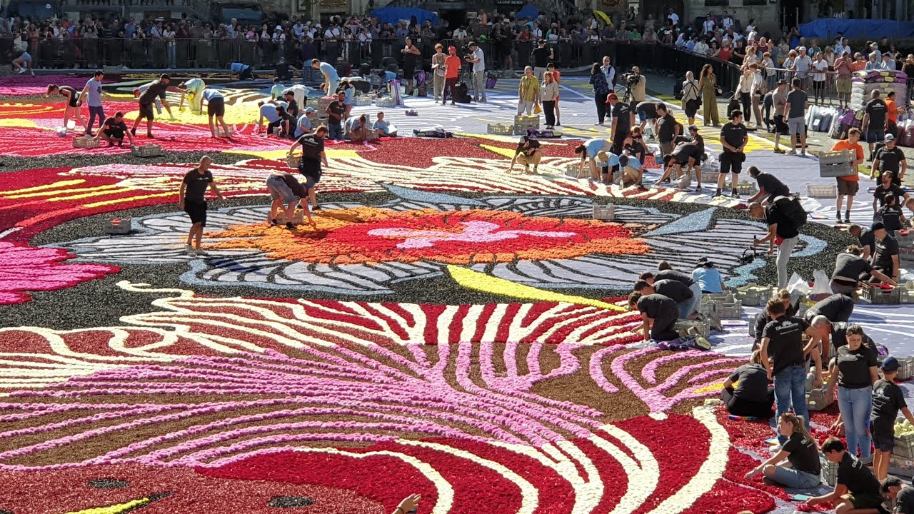 The 2024 Brussels Flower Carpet and Light Show Spectacle: 