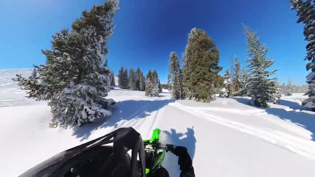 Lost Timbersled Files Episode 1