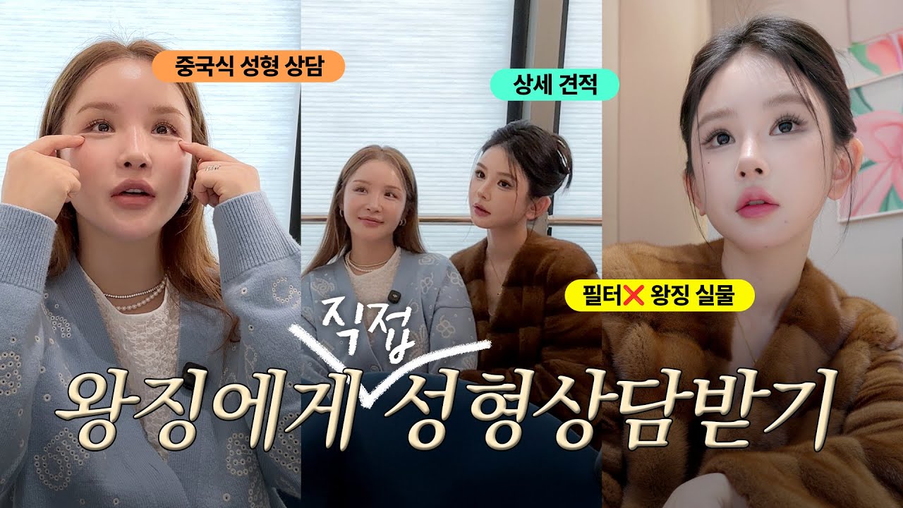 (충격적 결과💥)상상 이상 디테일한 중국 성형 상담 리얼 후기 from 중국 TOP 성형왕홍 왕징