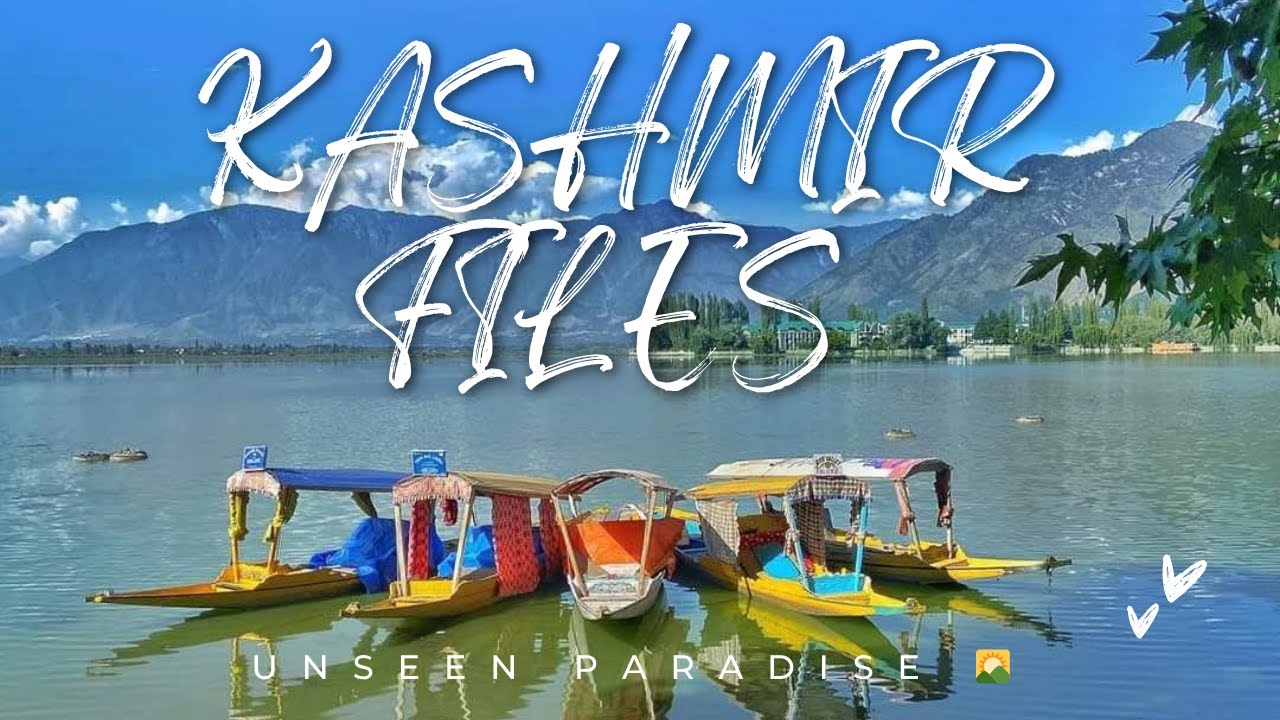 😲 Dal Lake Srinagar Ka Real Scene 2025 || The Kashmir Files