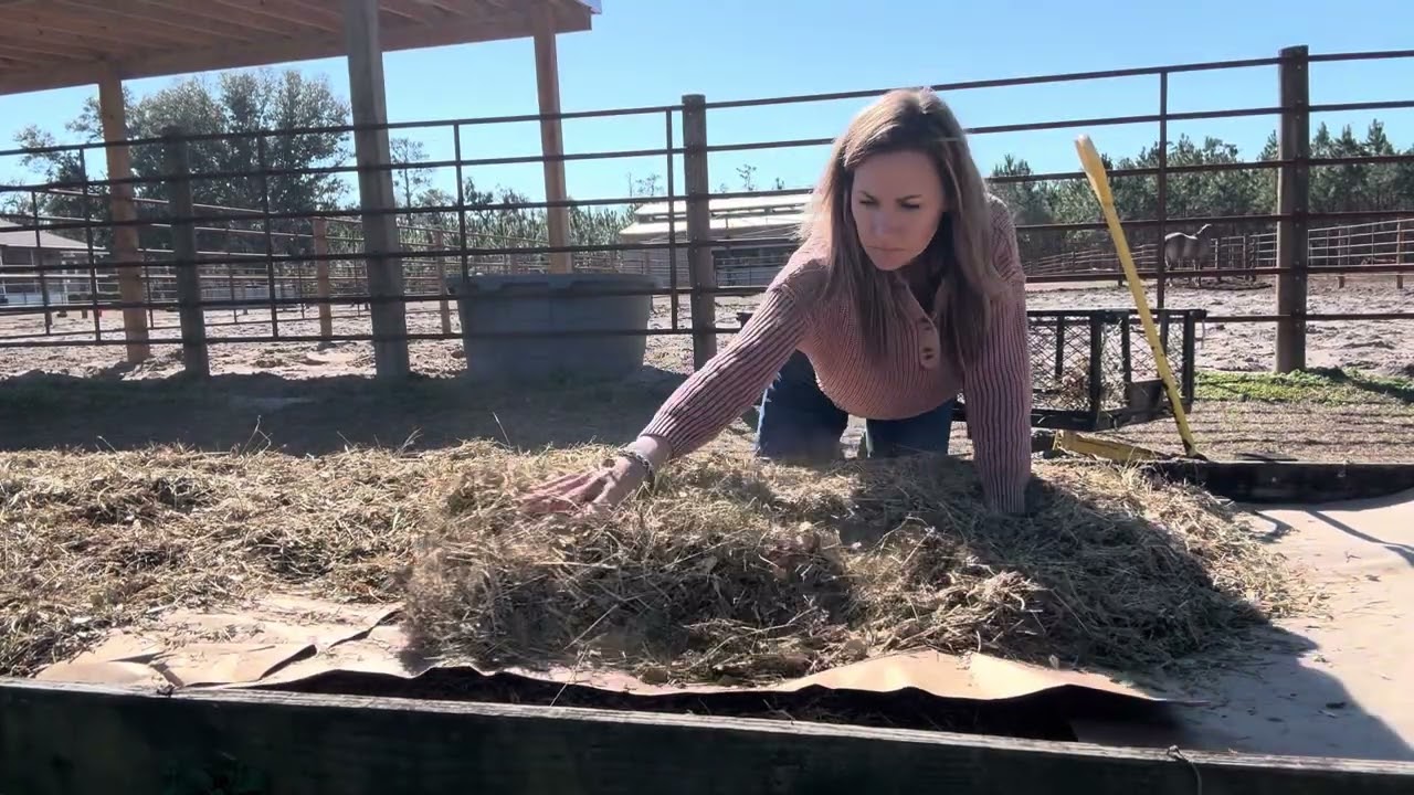  I Turned a Weed-Filled Raised Bed Into a No-Till Garden Using Cardboard & Hay 