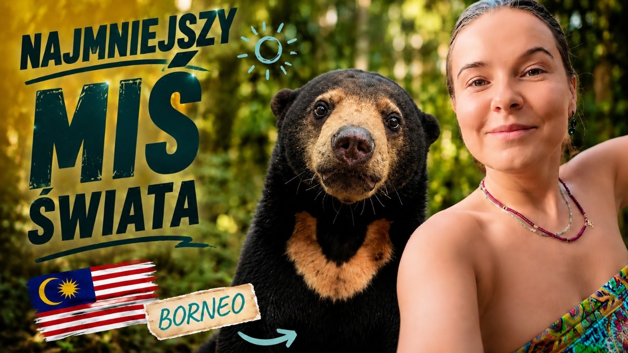 KICI, KICI... ZNAJDŹ MISIA! 🐻 Poznaj najmniejszego niedźwiedź świata (Niedźwiedź słoneczny) ☀️