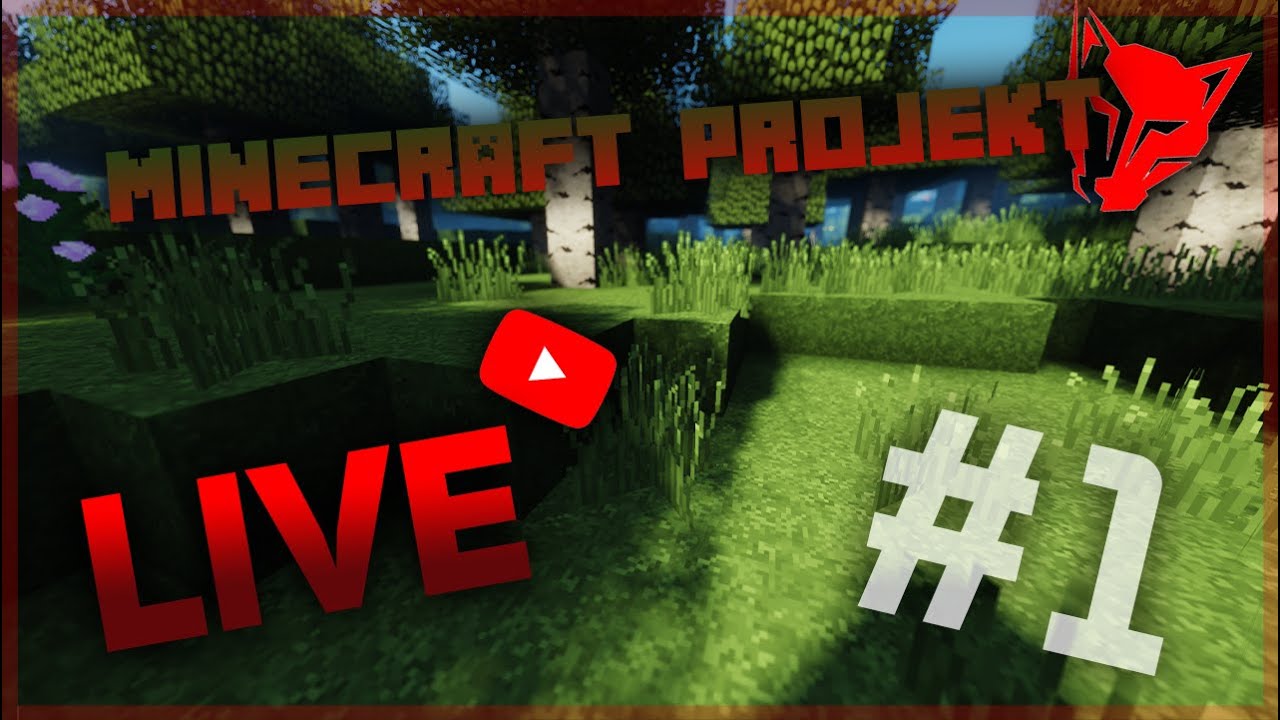 Minecraft Neuprojekt episode 1 || TeamAenix || Kein Platz